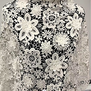 legant flower hollow out embroidery lace fabric para sa lady dress